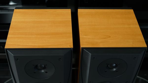 (Myyty) B&W Bowers Wilkins DM301 jalustakaiuttimet - Image 4