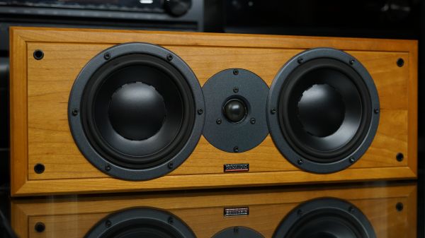 Dynaudio Contour T.21 keskikaiutin