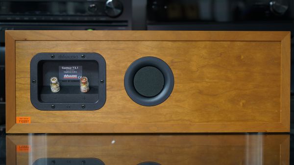 Dynaudio Contour T.21 keskikaiutin - Image 4