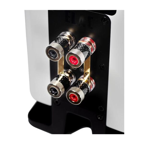 Elac Carina hyllykaiutinpari BS 243.4 - Image 4