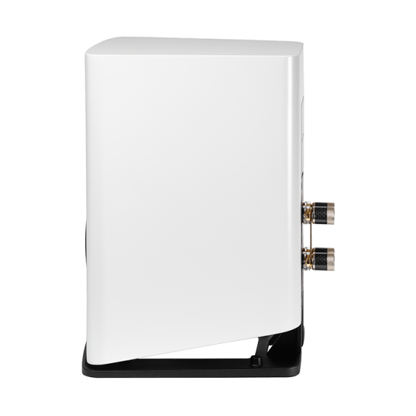 Elac Carina hyllykaiutinpari BS 243.4 - Image 3