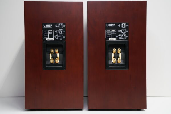 Usher V-601 kaiuttimet - Image 5