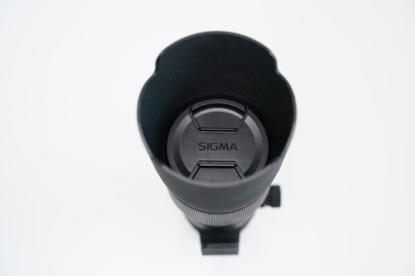Sigma 100-300/4 APO DG HSM EX (Canon) objektiivi käytetty - Image 10